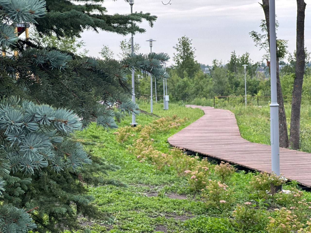 Озеленение экотропы в Парке Победы