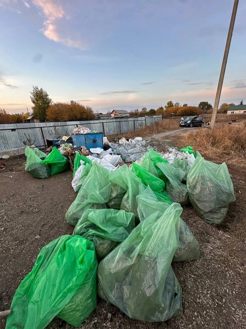 Уборка в приюте Рич