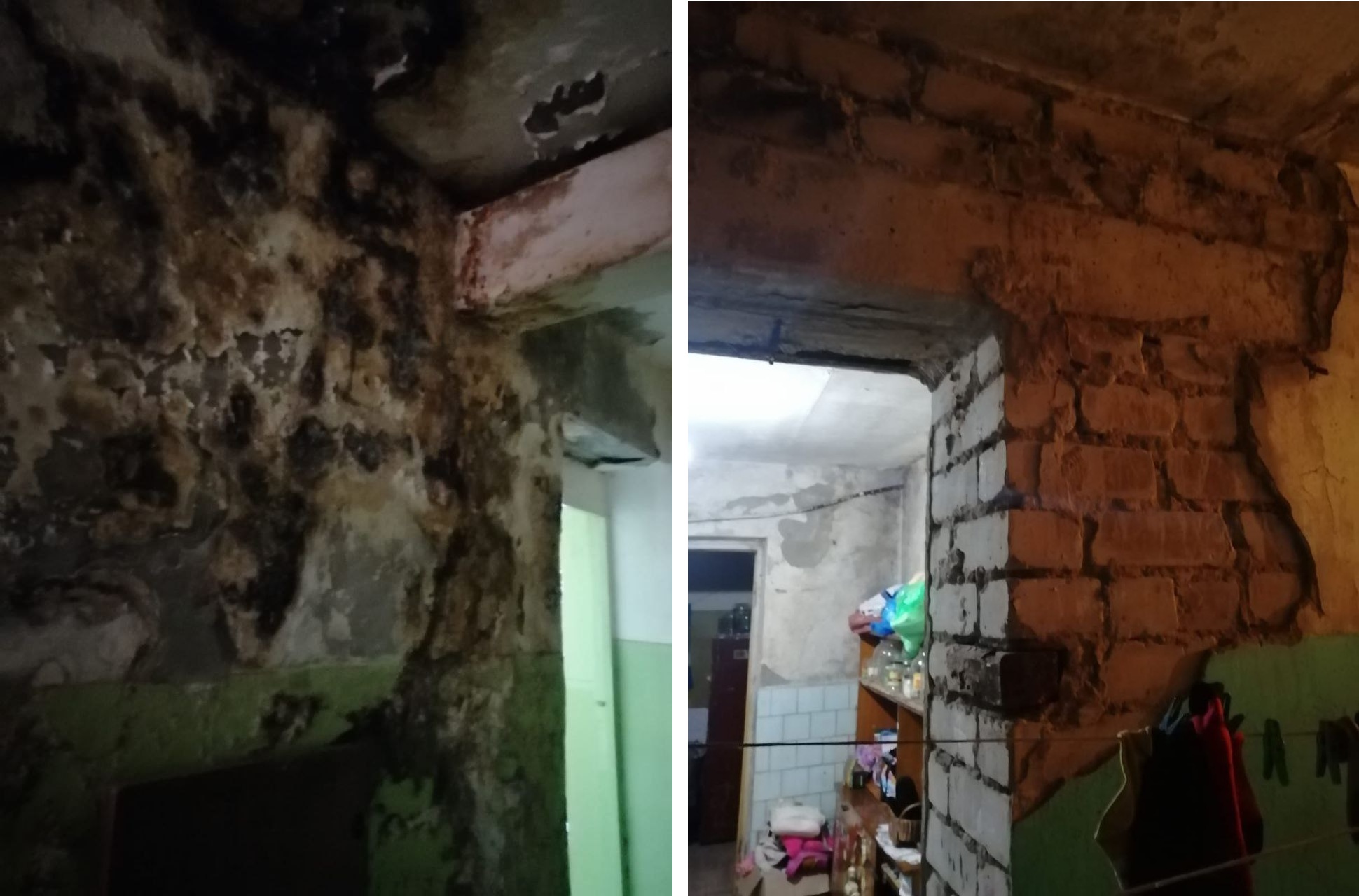 Жители Энгельса показали Бастрыкину свой аварийный дом с плесенью и жуткой вонью