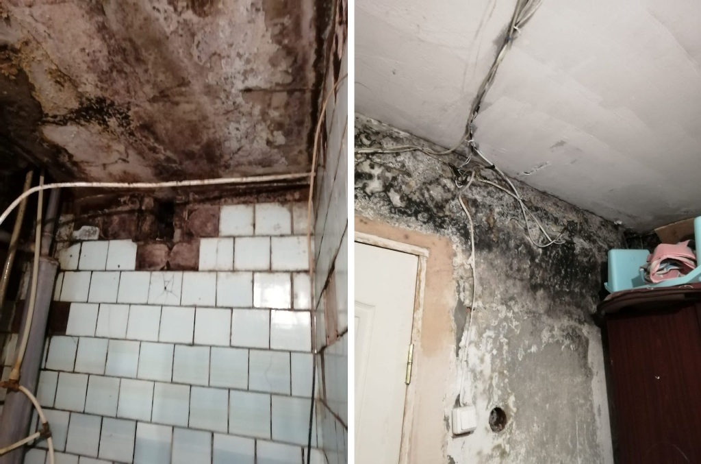 Аварийный дом с плесенью в Энгельсе 4