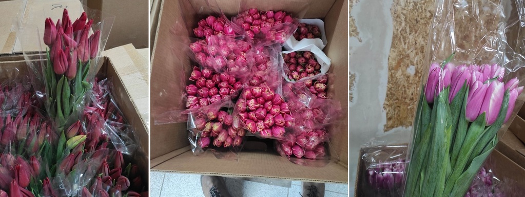 Цветы к 8 Марта 