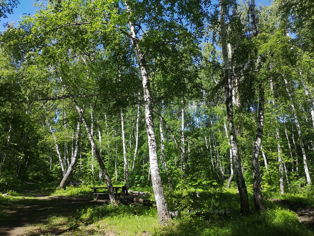 Кумыска экскурсии 3