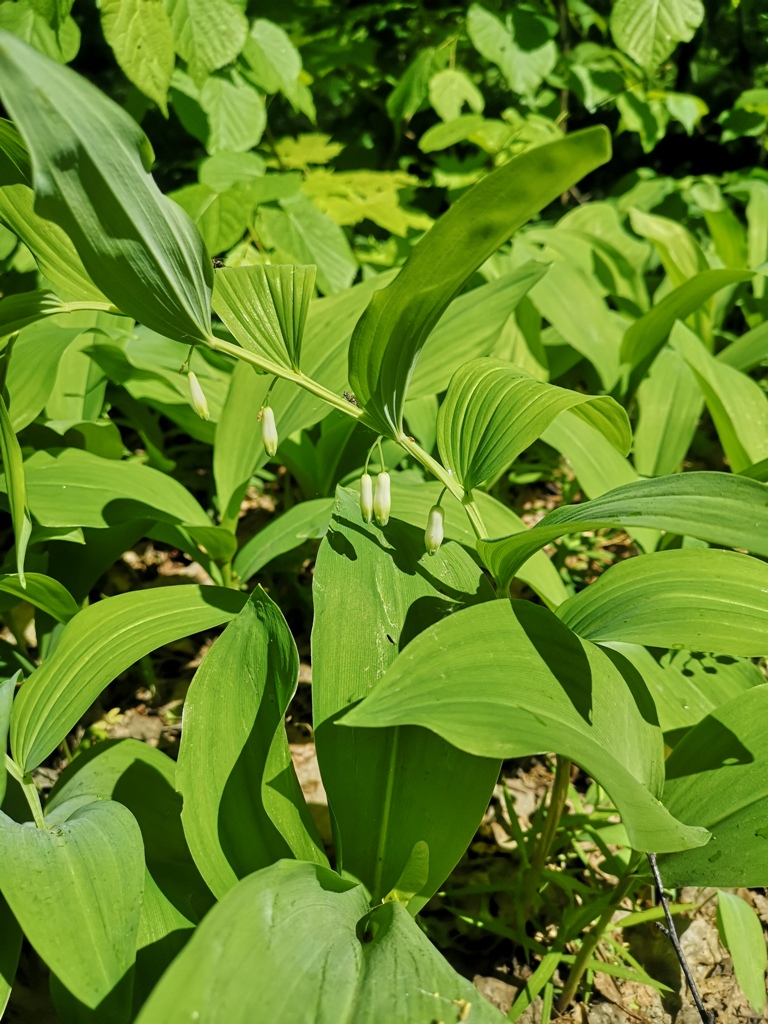 Кумыска экскурсии 11