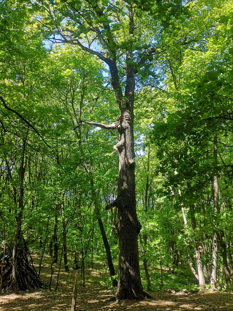 Кумыска экскурсии 12