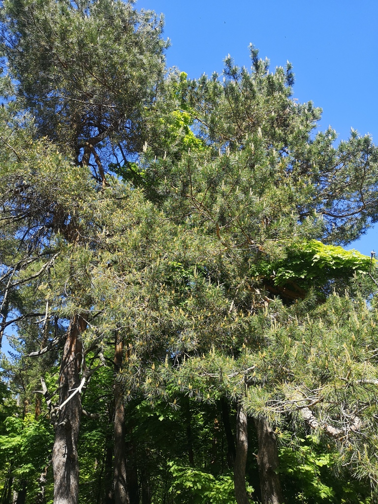 Кумыска экскурсии 16