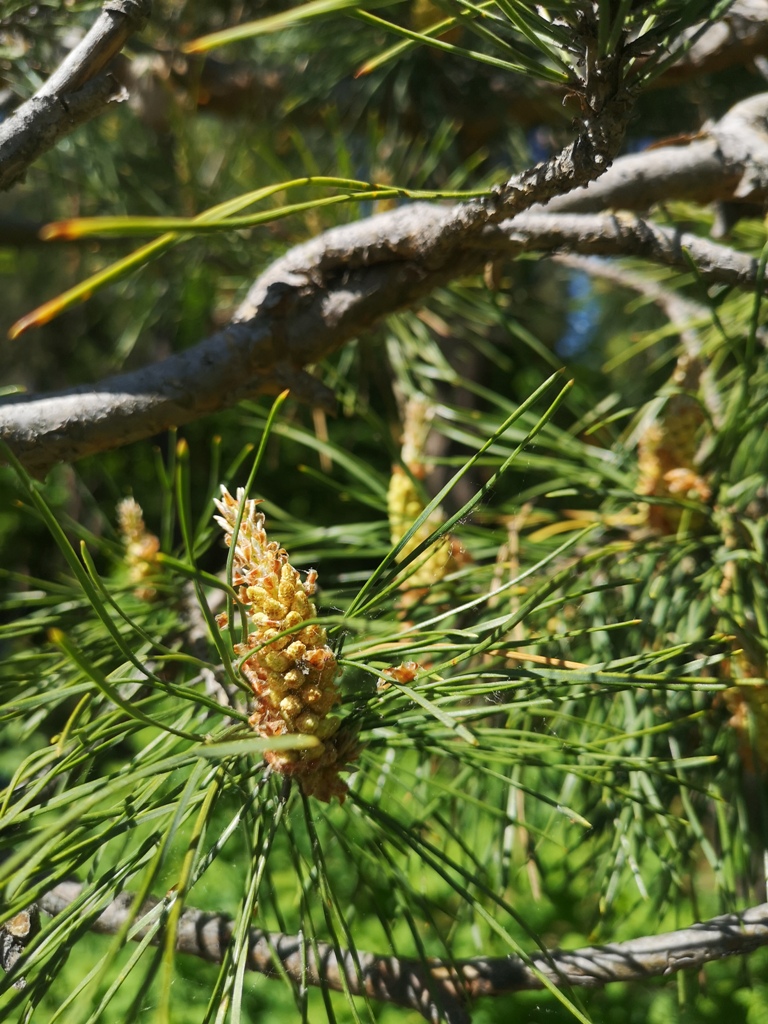 Кумыска экскурсии 17