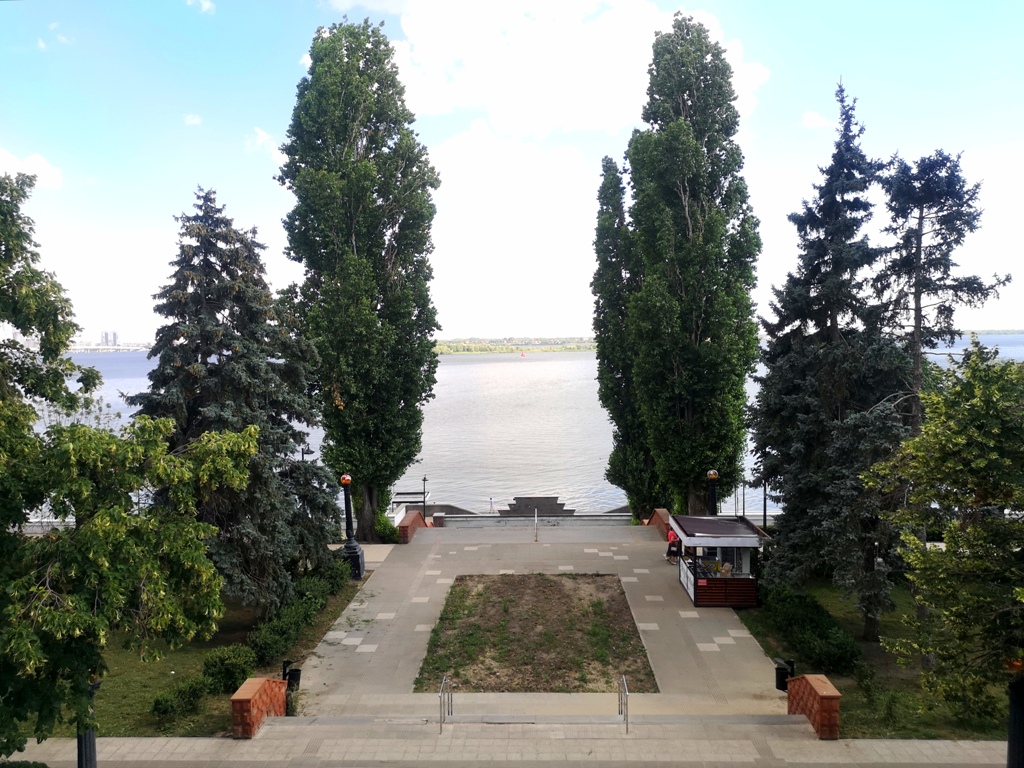 Здесь будет розарий