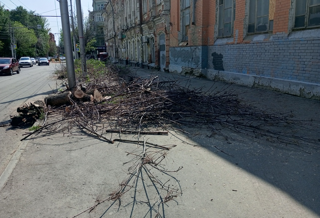 Деревья на Горького спилили 6