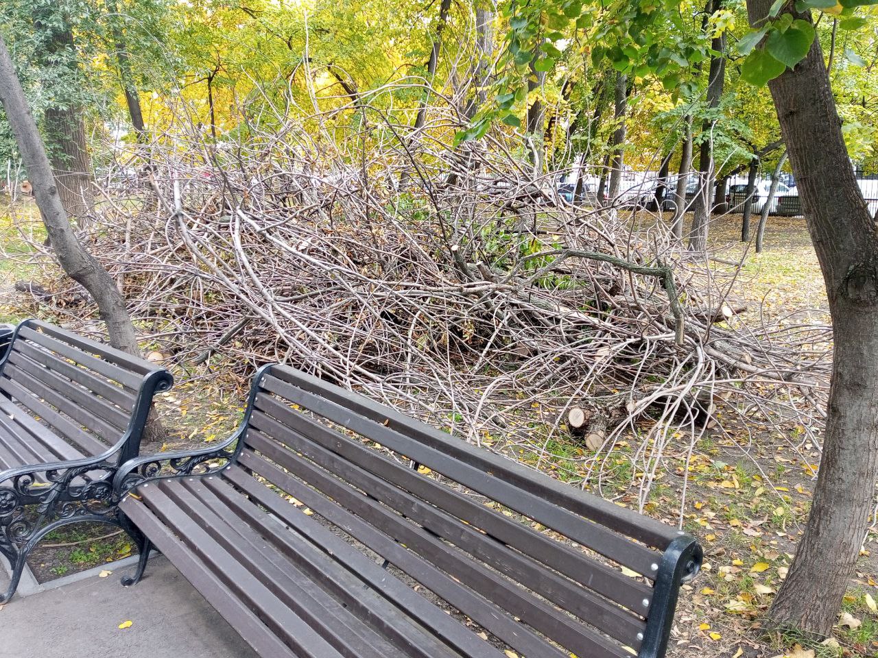 Липки октябрь 2025 2