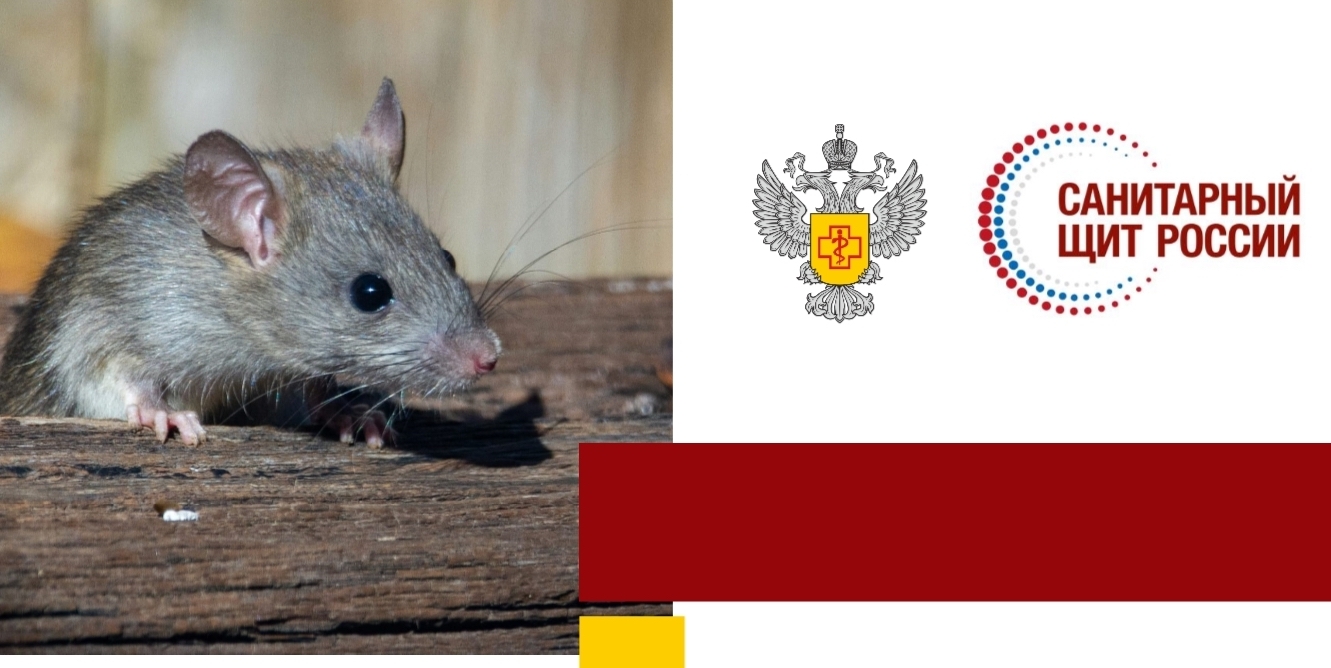 Опасность ГЛПС: губернатор советует саратовцам на Кумыске следовать всем правилам Опасность ГЛПС: губернатор советует саратовцам на Кумыске следовать всем правилам