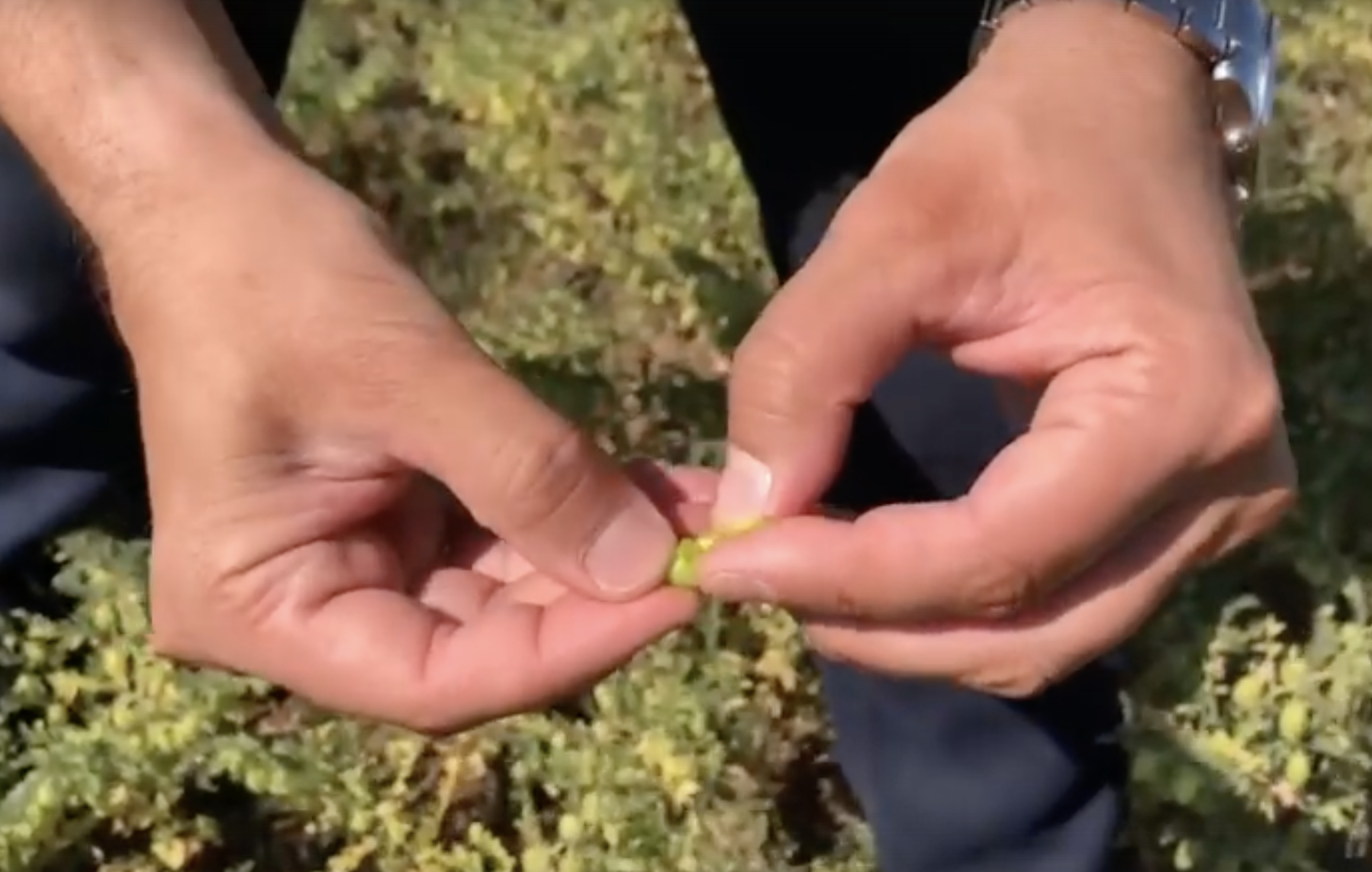 Уборочная кампания в Питерском районе