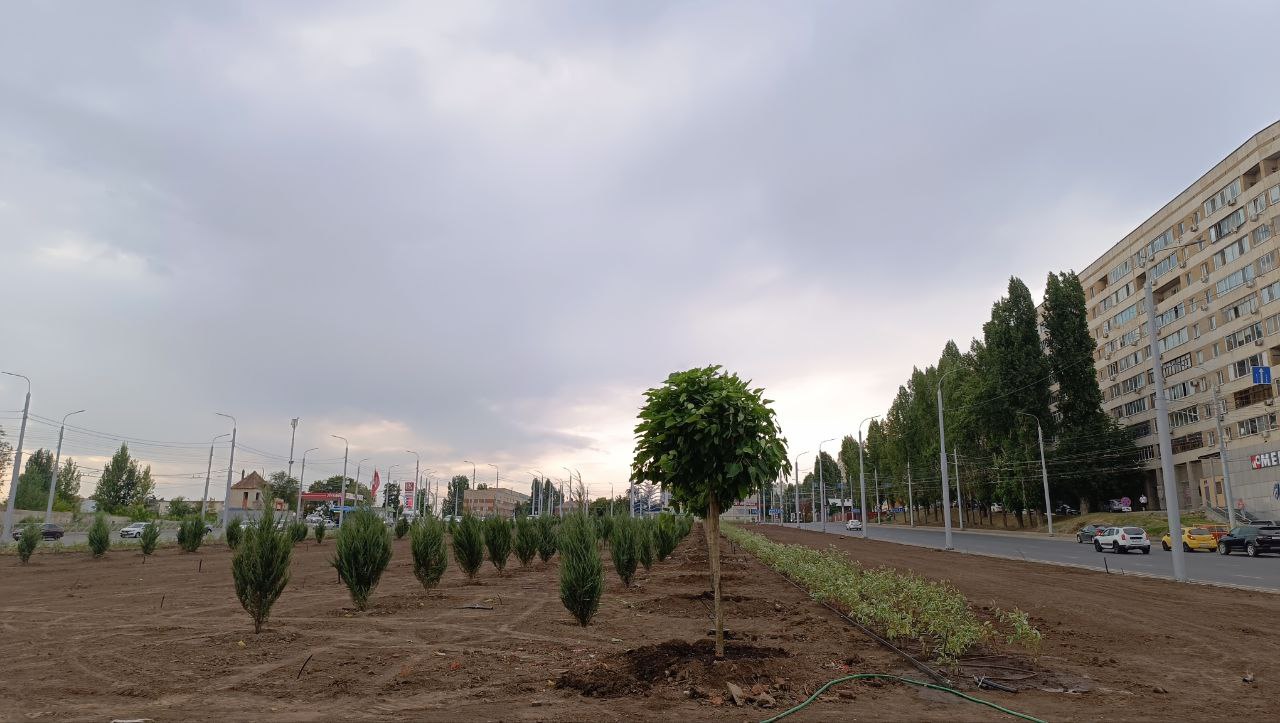 Предмостовая площадь 31 07 2025 2