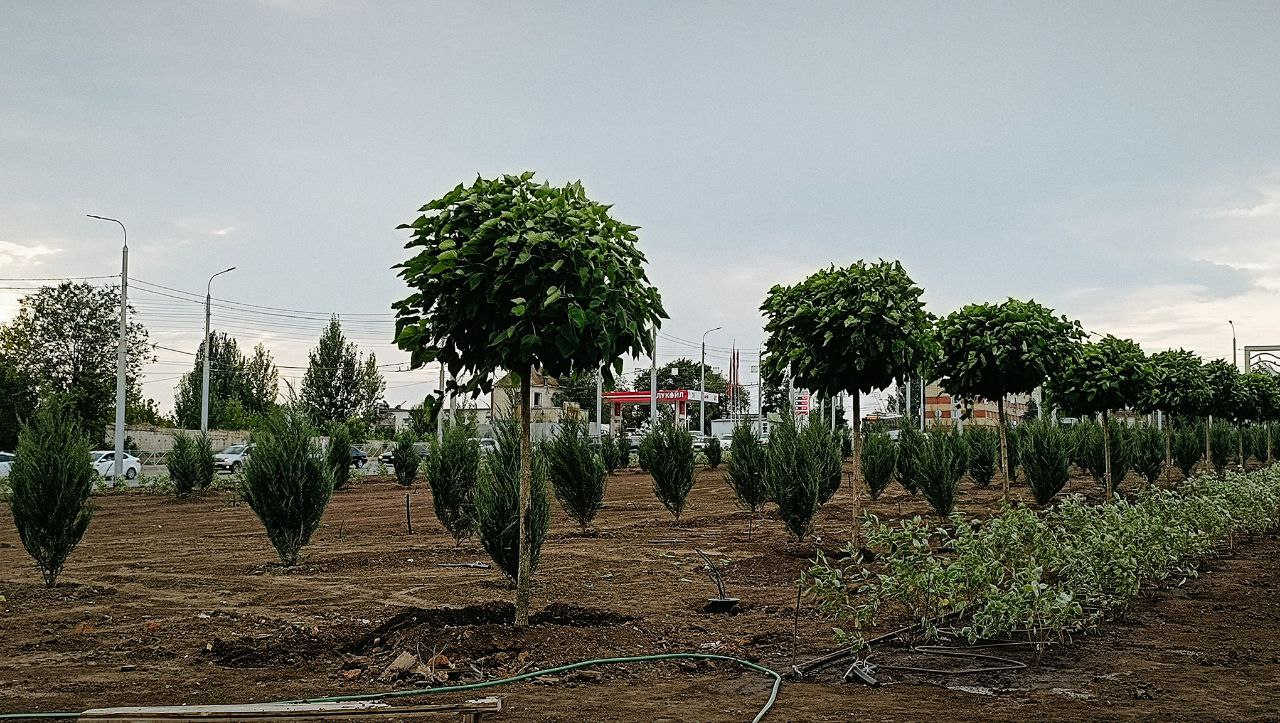 Предмостовая площадь 31 07 2025 1