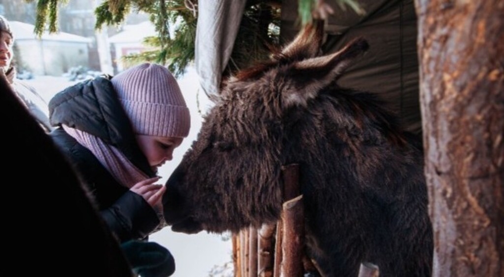 Вертеп на Рождество в Энгельсе