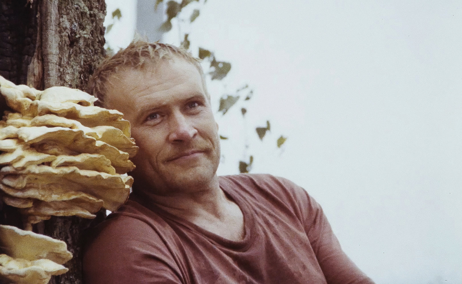 Телепрограмма на 25 февраля 2026 года, среда