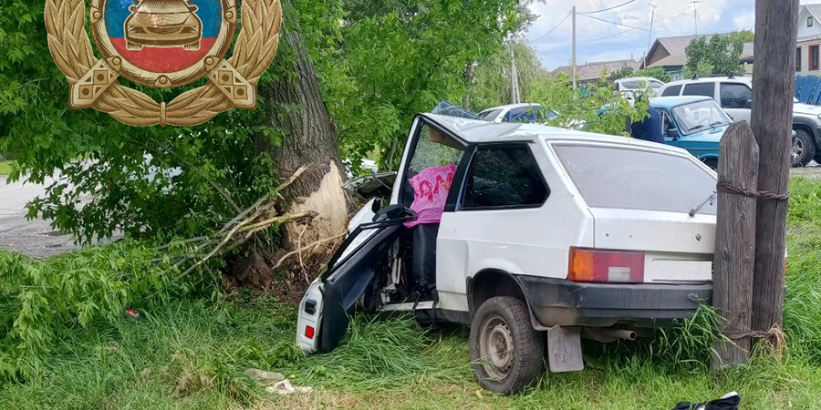 Школьник пострадал в ДТП с деревом в саратовском райцентре