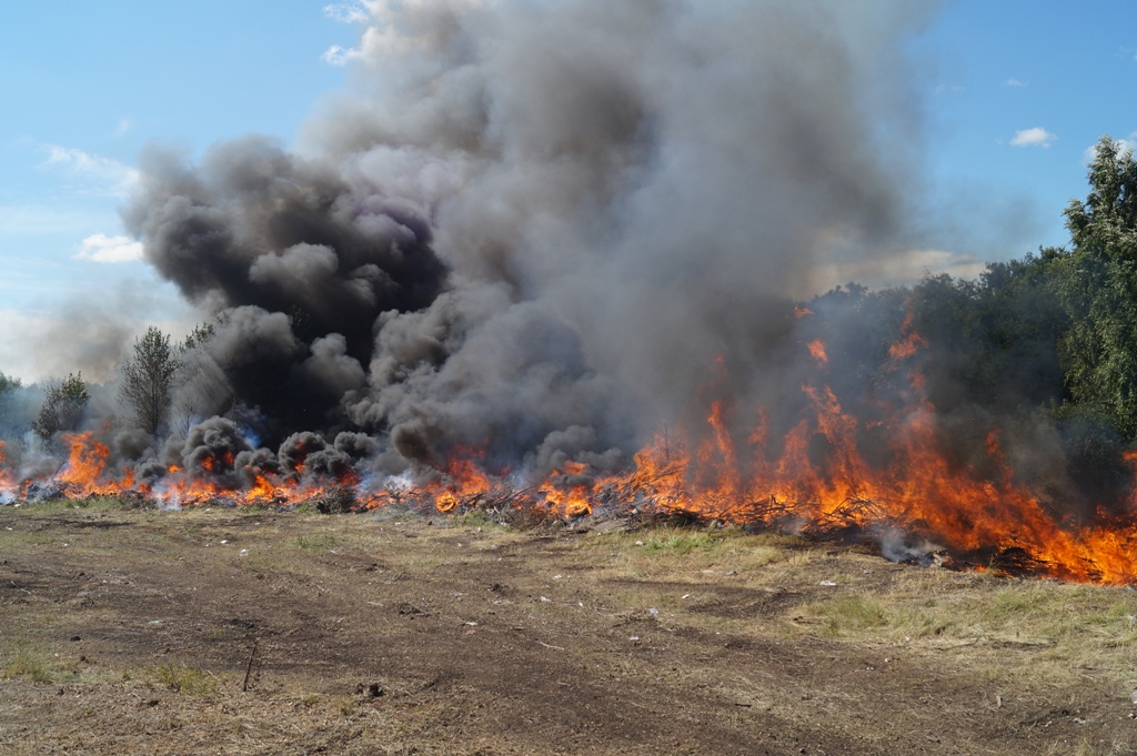 Какой штраф грозит саратовцам за поджигание сухой травы и мусора