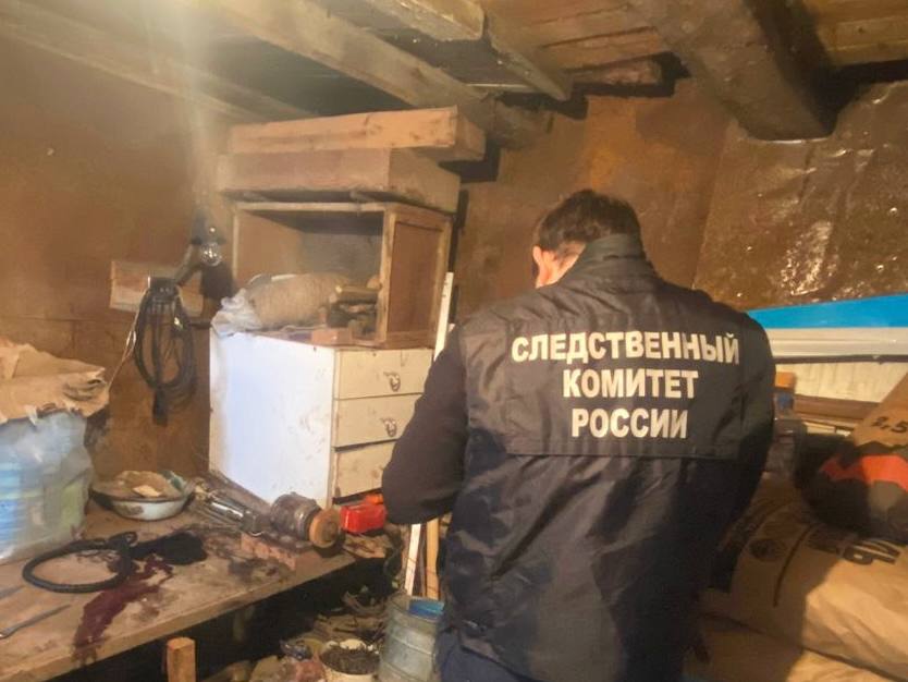 Молодая саратовчанка нанесла пенсионеру 70 ножевых ранений и отправилась за покупками