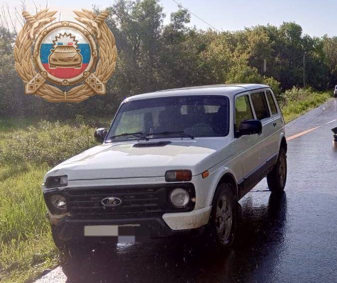 В Саратовской области «Нива» насмерть сбила 9-летнего велосипедиста