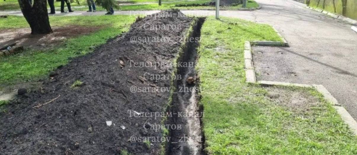 В горпарке Саратова нашли человеческий череп