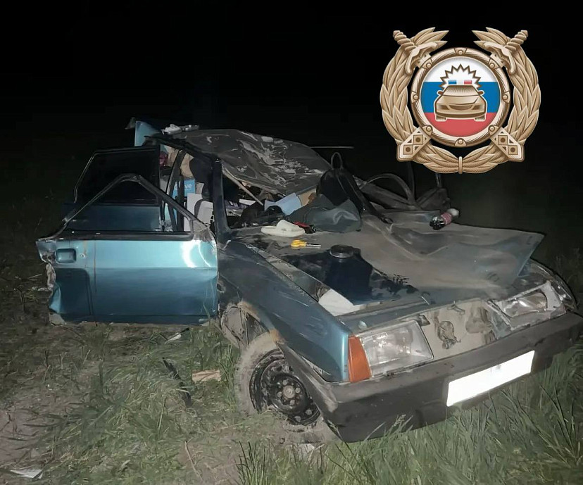 Двое молодых саратовцев получили травмы после встречи с лосем Двое молодых саратовцев получили травмы после встречи с лосем