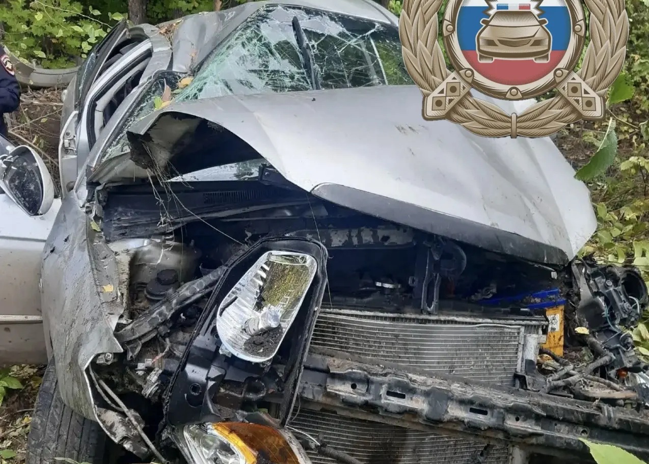 Молодой водитель Kia вылетел с дороги у саратовского посёлка Молодой водитель Kia вылетел с дороги у саратовского посёлка