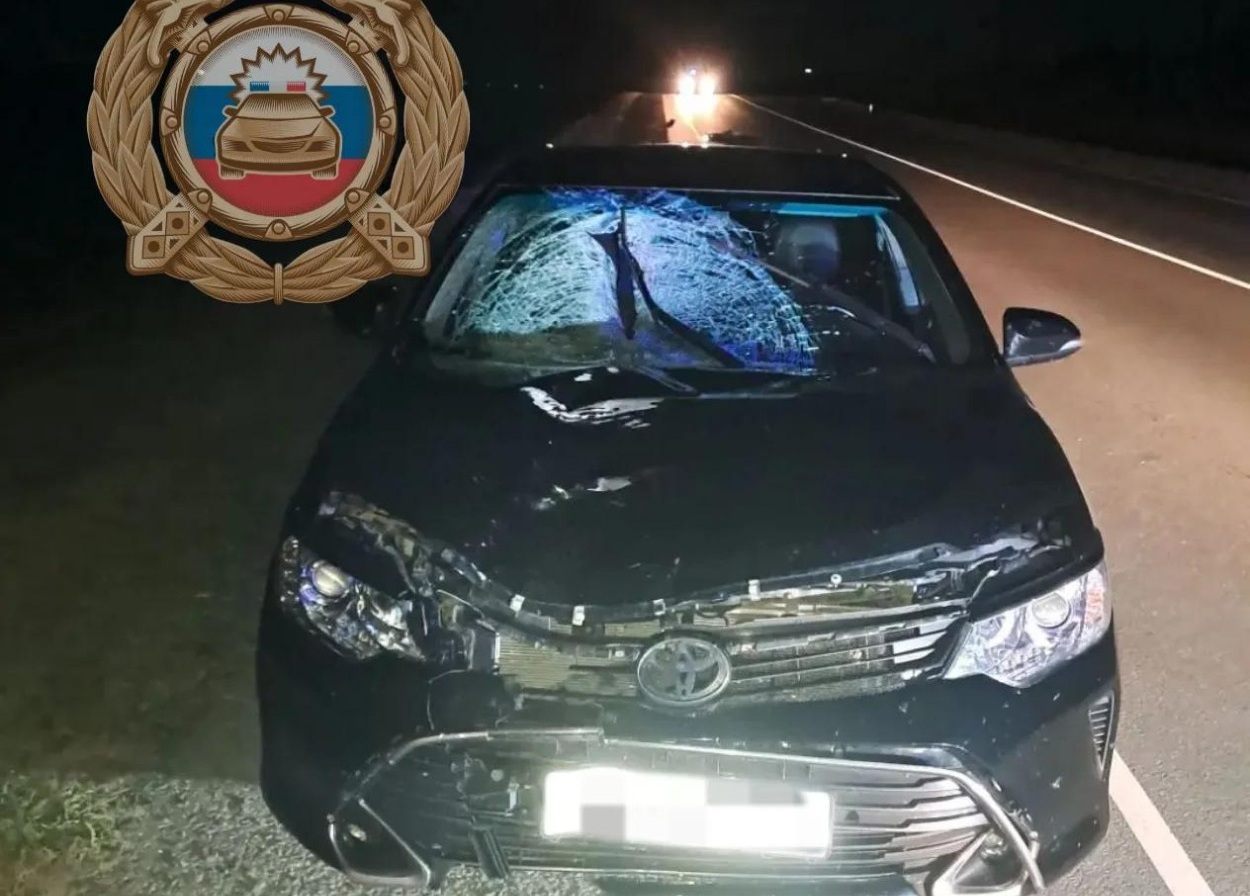 Под Саратовом Toyota Camry насмерть сбила пешехода Под Саратовом Toyota Camry насмерть сбила пешехода